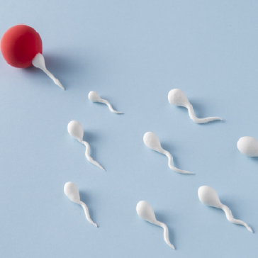 Male Infertility Fellowship