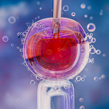 Embryology Laboratory Fellowship