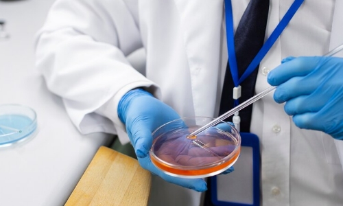 Andrology Laboratory Fellowship