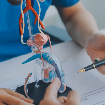 PG in Andrology & Sexual Medicine